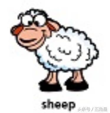 42个动物的英语单词！dolphin？lion？starfish？你都认识吗？