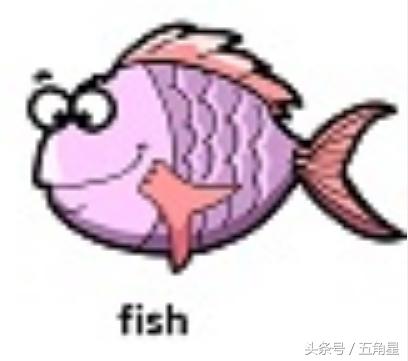 鸭子的英语单词怎么写（42个动物的英语单词dolphinlionstarfish你都认识吗）