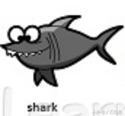42个动物的英语单词！dolphin？lion？starfish？你都认识吗？