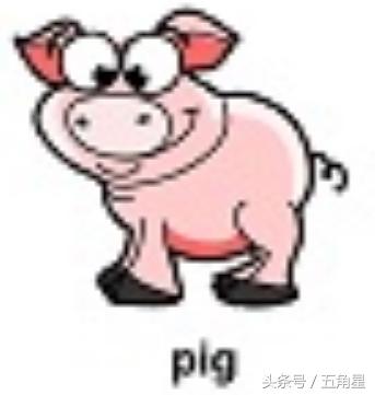 42个动物的英语单词！dolphin？lion？starfish？你都认识吗？