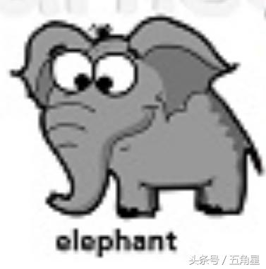 42个动物的英语单词！dolphin？lion？starfish？你都认识吗？