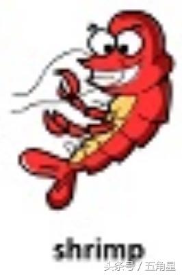 42个动物的英语单词！dolphin？lion？starfish？你都认识吗？