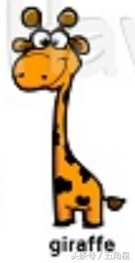 42个动物的英语单词！dolphin？lion？starfish？你都认识吗？