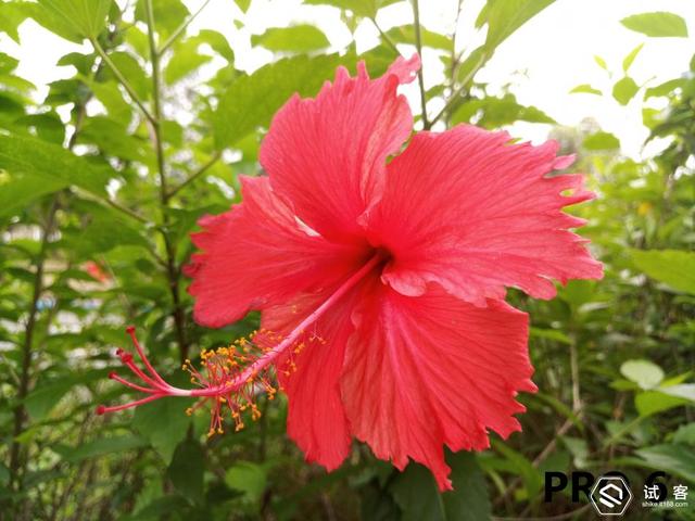 我心中的”魅族PRO 5mini“——魅族PRO 6深度体验