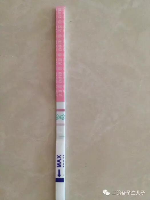 大卫排卵试纸怎么用（图如何用排卵试纸确定排卵日）