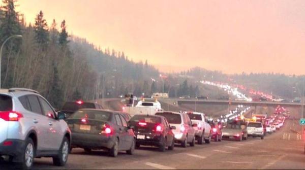 细软跑必看:末日大逃亡之前你该做什么?