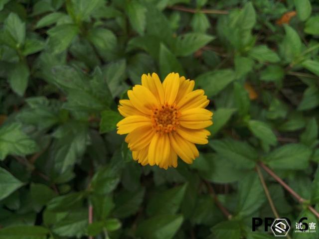 我心中的”魅族PRO 5mini“——魅族PRO 6深度体验