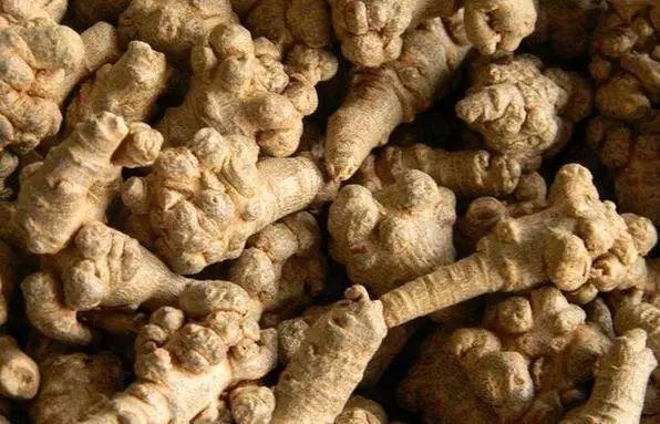 聚焦！政协云南省第十二届委员会主席、副主席、秘书长、常务委员名单（附主席副主席简历）