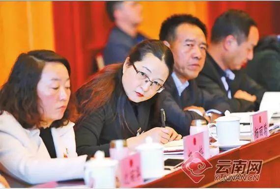 聚焦！政协云南省第十二届委员会主席、副主席、秘书长、常务委员名单（附主席副主席简历）