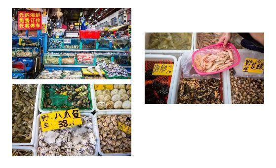 瑶柱花胶花旗参 花胶瑶柱汤的营养功效