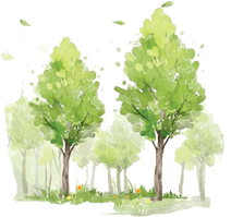 永康实现140公里绿道“网联”！走，去绿道踏春！