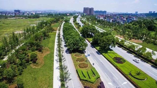 永康实现140公里绿道“网联”！走，去绿道踏春！