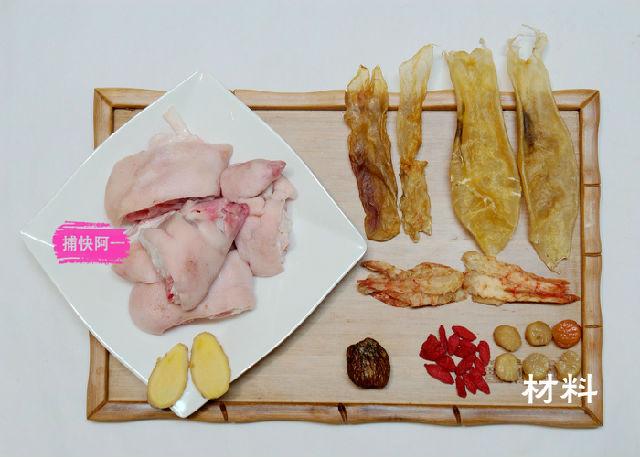 猪脚和花胶 瑶柱 2026年猪脚和花胶 瑶柱能同吃吗