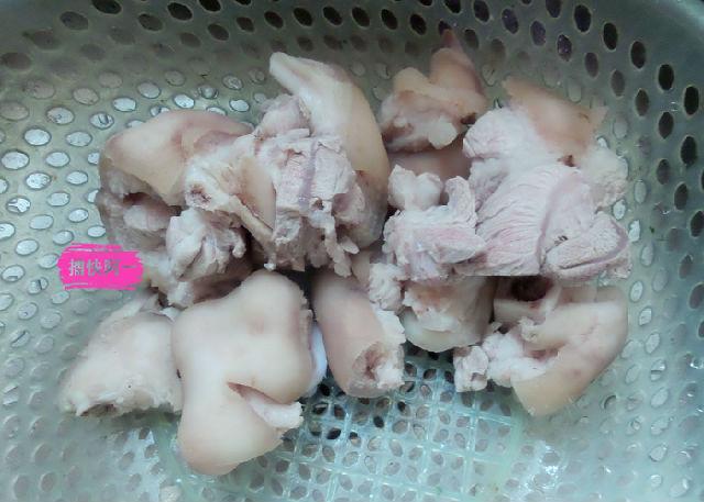 猪脚和花胶 瑶柱 2026年猪脚和花胶 瑶柱能同吃吗