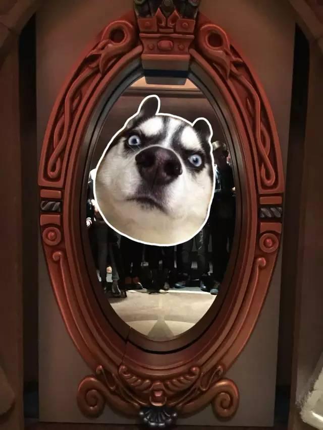 跟着朵拉玩转上海迪士尼乐园~游园秘籍来啦~