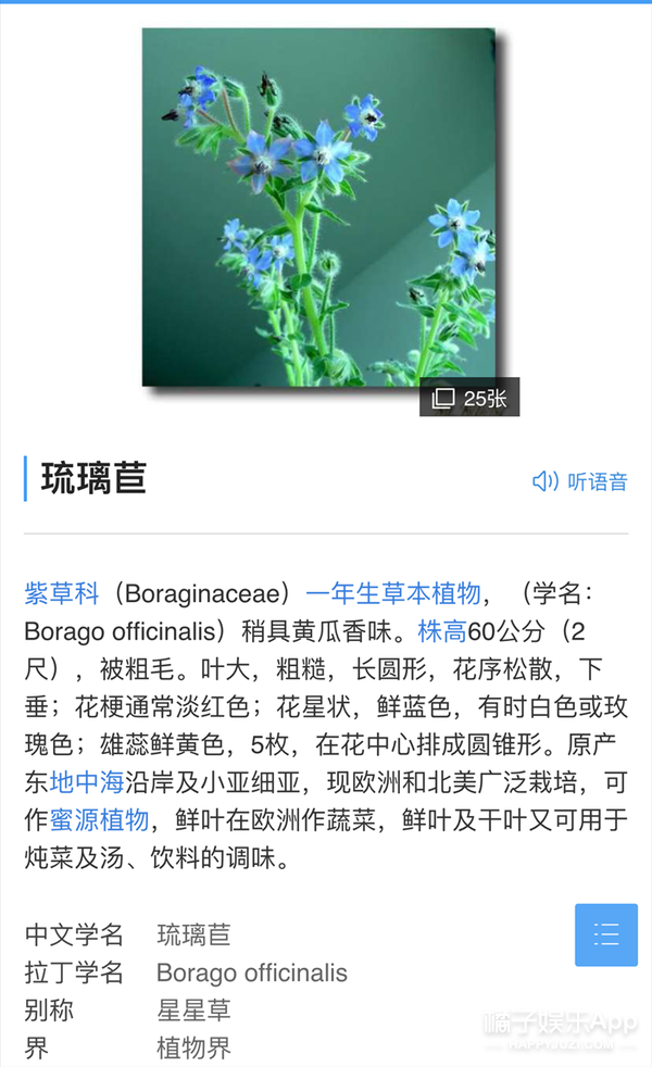 芒果台在11年间给9部剧改了名，你觉得哪个最雷？