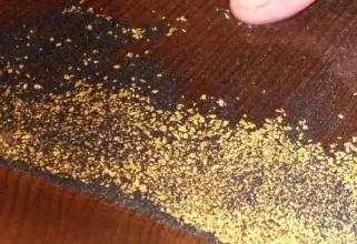 有关沙金和黄金的区别介绍（沙金和黄金有哪些区别）
