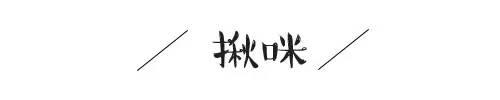 天了噜！你还不知道什么是淋语？！