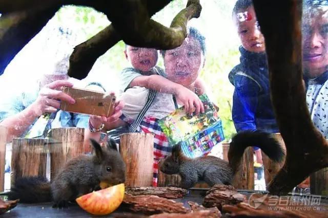 惠州人看过来！一条微信教你玩转“六一”