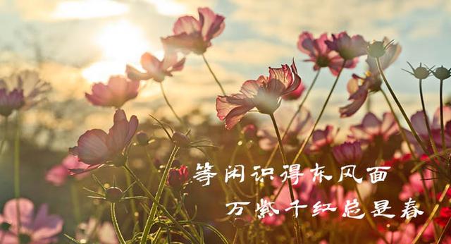 梅花香自苦寒来的下一句（学讲话 品典故等闲识得东风面）