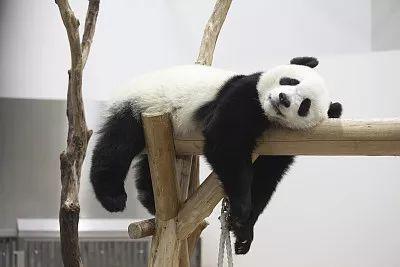 失眠（shī mián）和睡眠（shuì mián）之间只差一个你（u）！