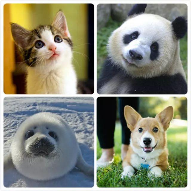 失眠（shī mián）和睡眠（shuì mián）之间只差一个你（u）！