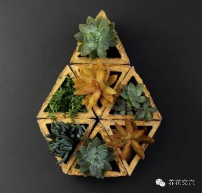 简单美丽的多肉花盆，居然是这样做出来的！