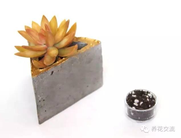 简单美丽的多肉花盆，居然是这样做出来的！