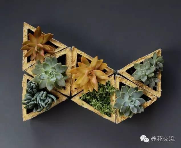 简单美丽的多肉花盆，居然是这样做出来的！