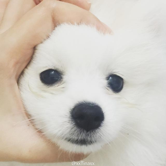 灏忚劯灏忓眮鑲℃帶锛屽搱澶氬埄绯诲崥缇庣姮