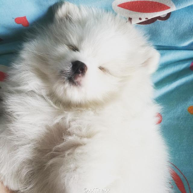 灏忚劯灏忓眮鑲℃帶锛屽搱澶氬埄绯诲崥缇庣姮
