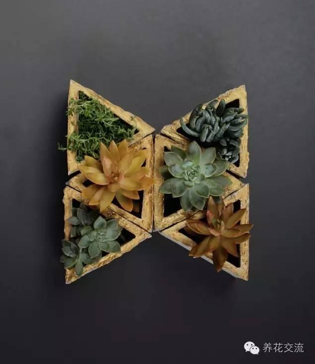 简单美丽的多肉花盆，居然是这样做出来的！