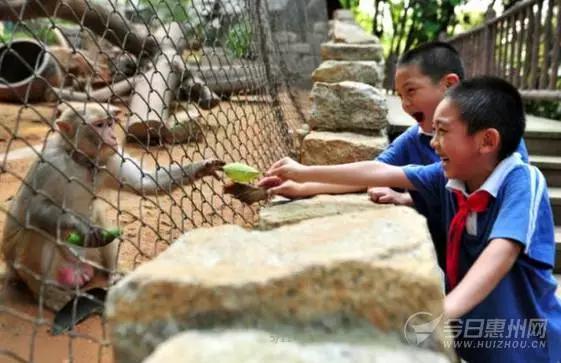 惠州人看过来！一条微信教你玩转“六一”