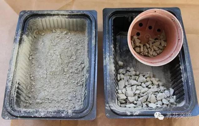 简单美丽的多肉花盆，居然是这样做出来的！
