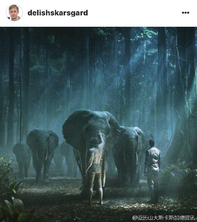 泰山归来，正义与邪恶再次对抗！这将是怎样一场丛林冒险？