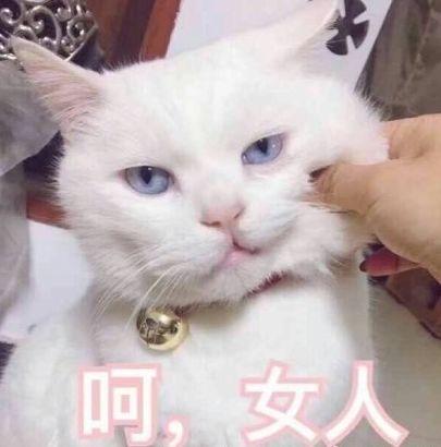 看完一场4D电影，就像花钱挨了顿毒打