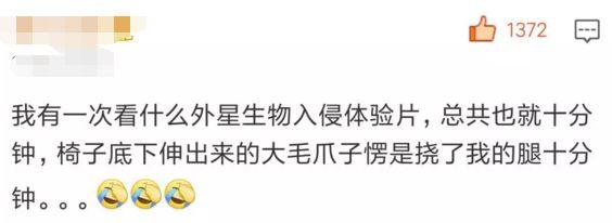 看完一场4D电影，就像花钱挨了顿毒打