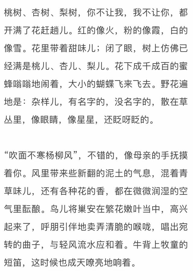 夜话丨朱自清：春