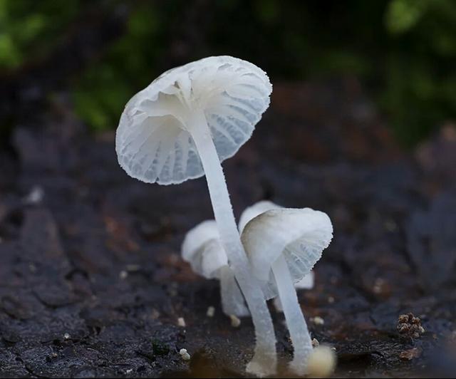 seo学习价值（SEO的价值在哪里）