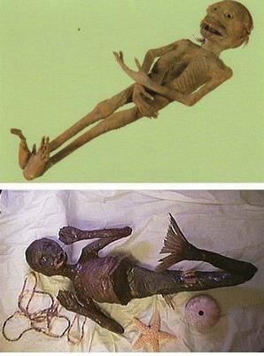 令人恐惧的神秘生物,水鬼河童