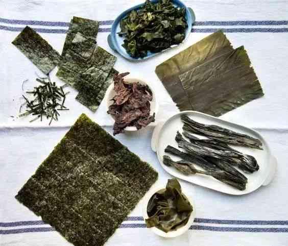干贝的泡发方法 2026年干贝的泡发方法有哪些