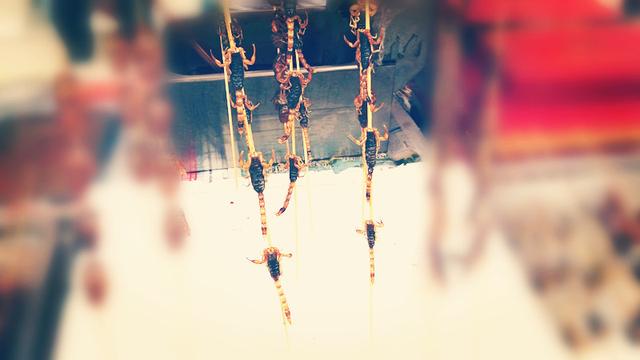 活蝎子怎么处理才能吃（家常吃蝎子）