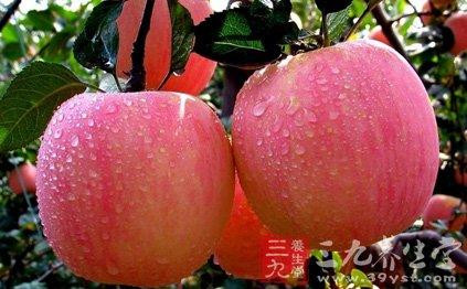 海参男人吃好还是女人吃好 2026年海参男人吃好还是女人吃好一点