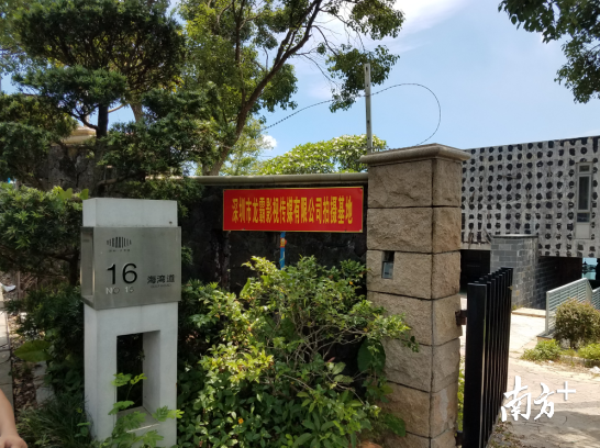 深圳龙霸网站建设（淘宝上花半亿拍下大梅沙别墅）