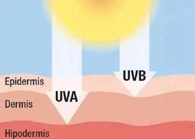 脸上长蝴蝶斑是什么原因（深圳35岁女白领旅游归来）