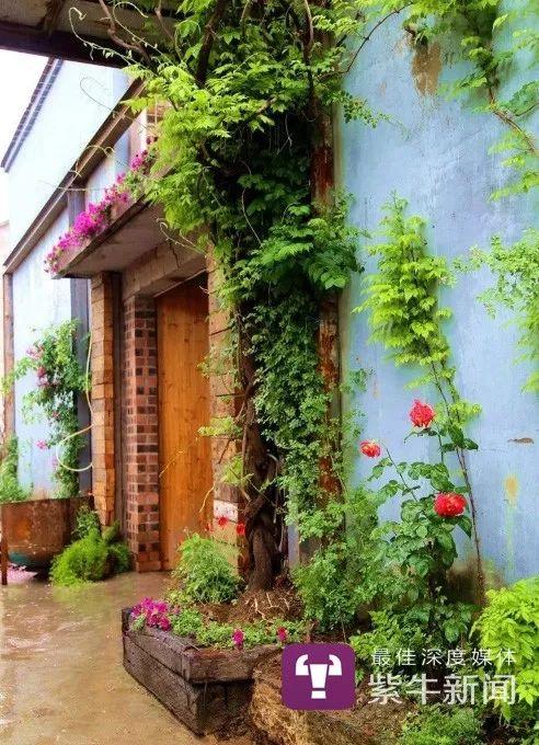 他用废弃物打造了 2000㎡的互助养老“梦幻花园”，邀请志同道合者免费居住