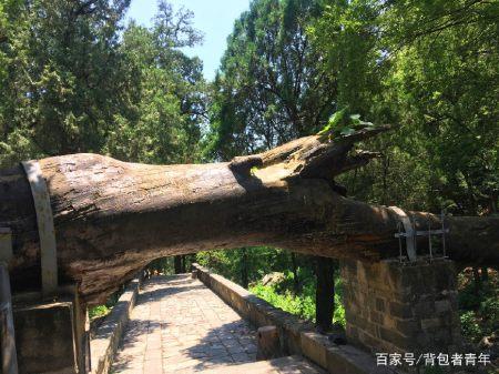 泰山到底该怎么玩儿？这篇文章告诉你！