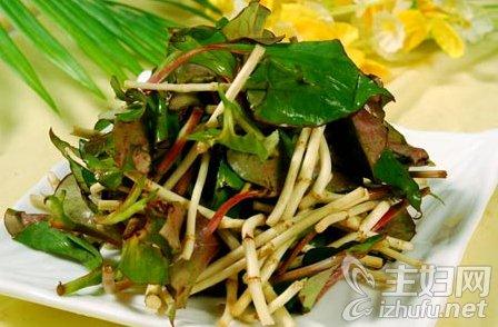 鱼腥草的功效与作用 鱼腥草的吃法