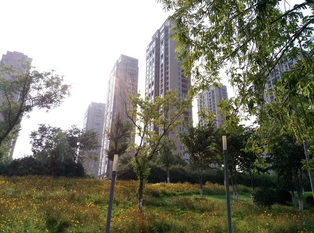 魅蓝3s:立志做千元机的实力派