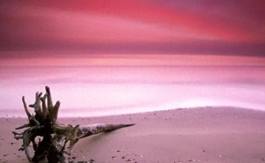 地球上最性感的粉色沙滩-电影加勒比海盗都来这里取景